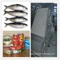 sardine fish screening machine